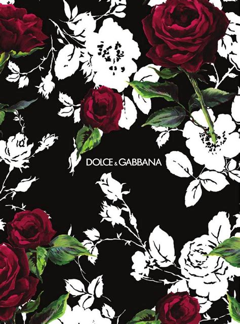 Dolce & Gabbana Wallpapers .